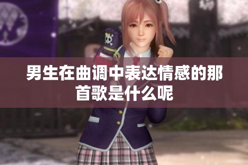男生在曲调中表达情感的那首歌是什么呢