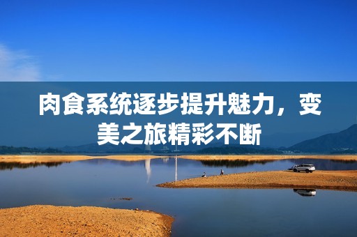 肉食系统逐步提升魅力，变美之旅精彩不断