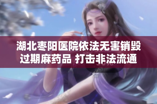 湖北枣阳医院依法无害销毁过期麻药品 打击非法流通与安全隐患