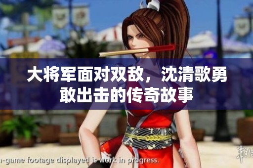 大将军面对双敌，沈清歌勇敢出击的传奇故事