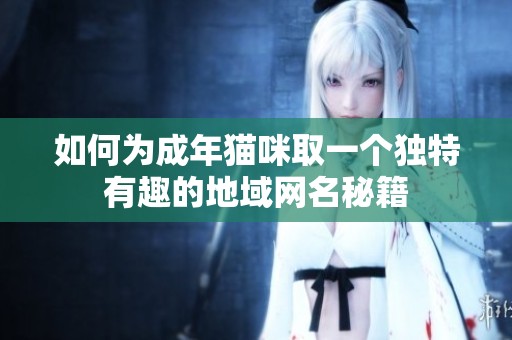 如何为成年猫咪取一个独特有趣的地域网名秘籍