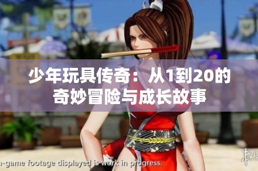 少年玩具传奇：从1到20的奇妙冒险与成长故事