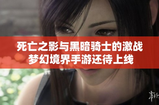 死亡之影与黑暗骑士的激战 梦幻境界手游还待上线