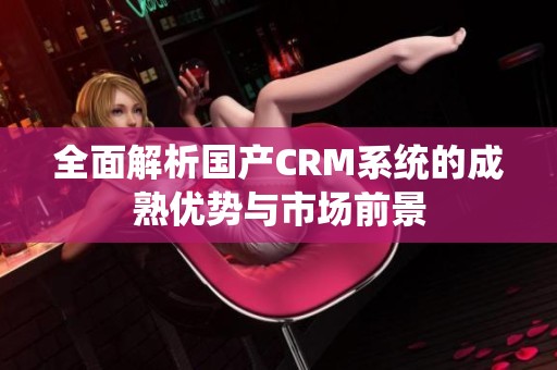 全面解析国产CRM系统的成熟优势与市场前景