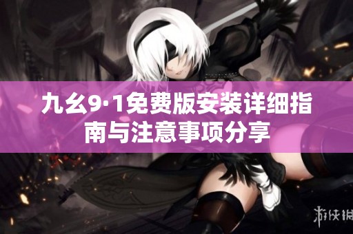 九幺9·1免费版安装详细指南与注意事项分享