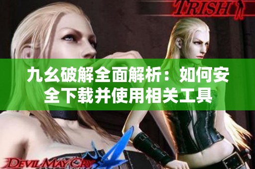 九幺破解全面解析：如何安全下载并使用相关工具