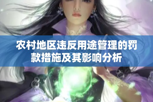 农村地区违反用途管理的罚款措施及其影响分析