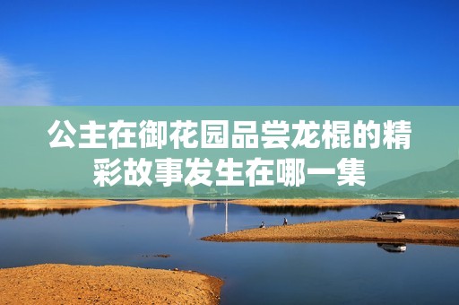 公主在御花园品尝龙棍的精彩故事发生在哪一集