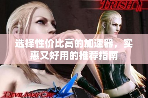 选择性价比高的加速器，实惠又好用的推荐指南