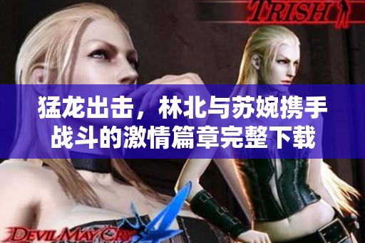 猛龙出击，林北与苏婉携手战斗的激情篇章完整下载