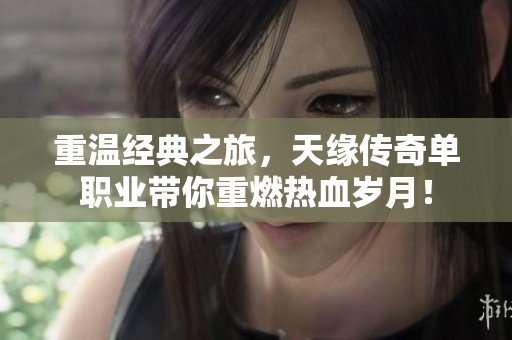 重温经典之旅，天缘传奇单职业带你重燃热血岁月！