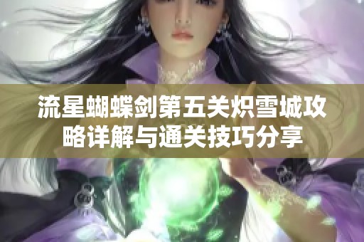 流星蝴蝶剑第五关炽雪城攻略详解与通关技巧分享