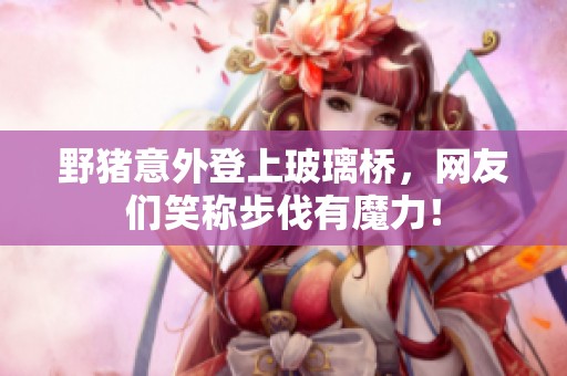 野猪意外登上玻璃桥，网友们笑称步伐有魔力！