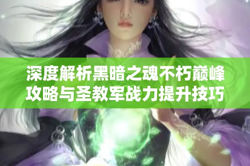 深度解析黑暗之魂不朽巅峰攻略与圣教军战力提升技巧