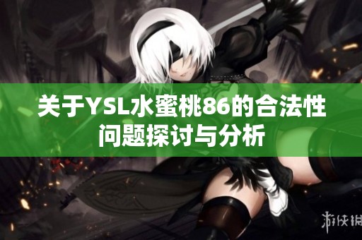 关于YSL水蜜桃86的合法性问题探讨与分析