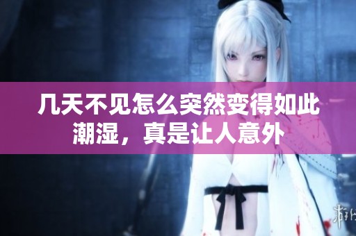 几天不见怎么突然变得如此潮湿，真是让人意外
