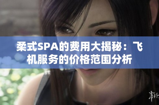 柔式SPA的费用大揭秘：飞机服务的价格范围分析