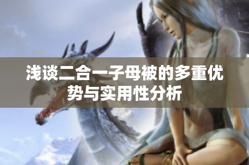 浅谈二合一子母被的多重优势与实用性分析