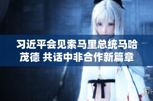 习近平会见索马里总统马哈茂德 共话中非合作新篇章