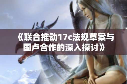 《联合推动17c法规草案与国卢合作的深入探讨》