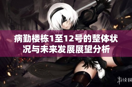病勤楼栋1至12号的整体状况与未来发展展望分析