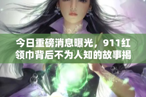 今日重磅消息曝光，911红领巾背后不为人知的故事揭秘