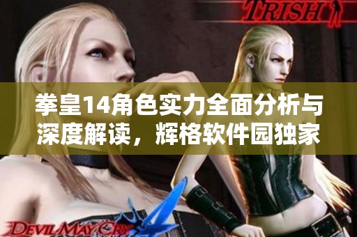 拳皇14角色实力全面分析与深度解读，辉格软件园独家评测