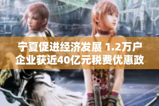 宁夏促进经济发展 1.2万户企业获近40亿元税费优惠政策支持