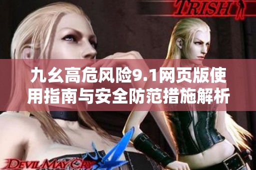 九幺高危风险9.1网页版使用指南与安全防范措施解析