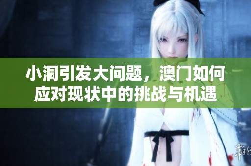 小洞引发大问题，澳门如何应对现状中的挑战与机遇