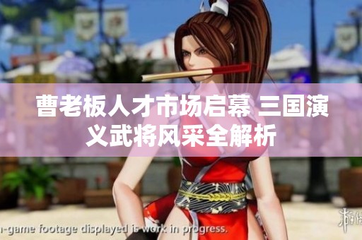 曹老板人才市场启幕 三国演义武将风采全解析
