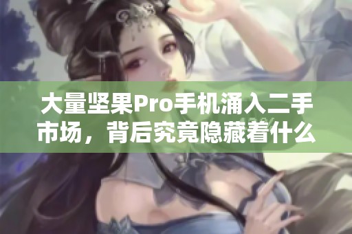 大量坚果Pro手机涌入二手市场，背后究竟隐藏着什么秘密？