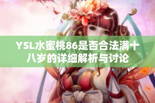 YSL水蜜桃86是否合法满十八岁的详细解析与讨论