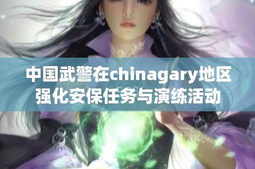 中国武警在chinagary地区强化安保任务与演练活动