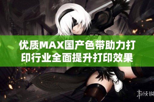 优质MAX国产色带助力打印行业全面提升打印效果