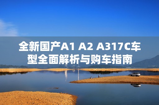 全新国产A1 A2 A317C车型全面解析与购车指南