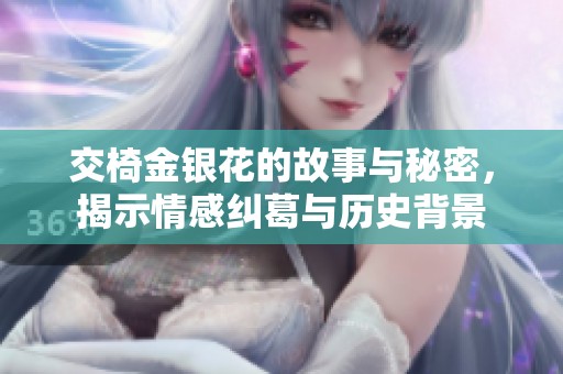交椅金银花的故事与秘密，揭示情感纠葛与历史背景