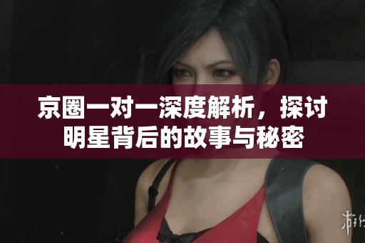 京圈一对一深度解析，探讨明星背后的故事与秘密