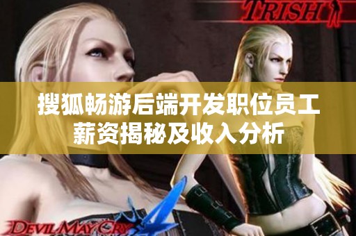 搜狐畅游后端开发职位员工薪资揭秘及收入分析