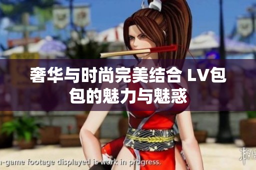 奢华与时尚完美结合 LV包包的魅力与魅惑