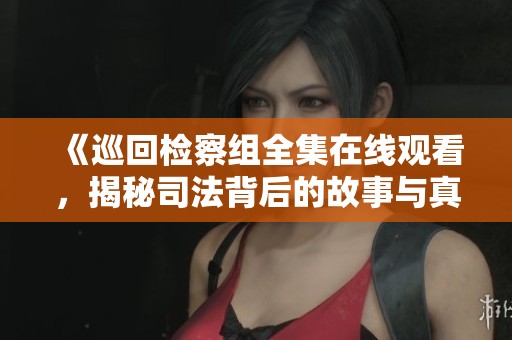 《巡回检察组全集在线观看，揭秘司法背后的故事与真相》