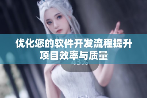 优化您的软件开发流程提升项目效率与质量