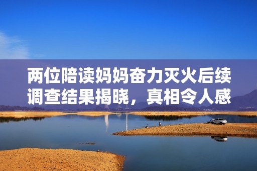 两位陪读妈妈奋力灭火后续调查结果揭晓，真相令人感动