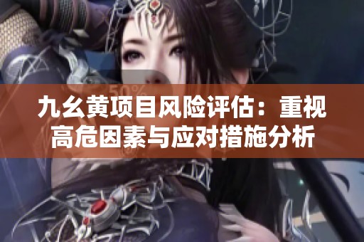 九幺黄项目风险评估：重视高危因素与应对措施分析