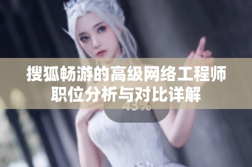 搜狐畅游的高级网络工程师职位分析与对比详解