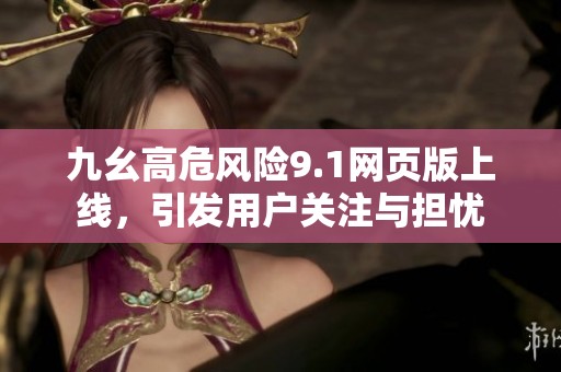 九幺高危风险9.1网页版上线，引发用户关注与担忧