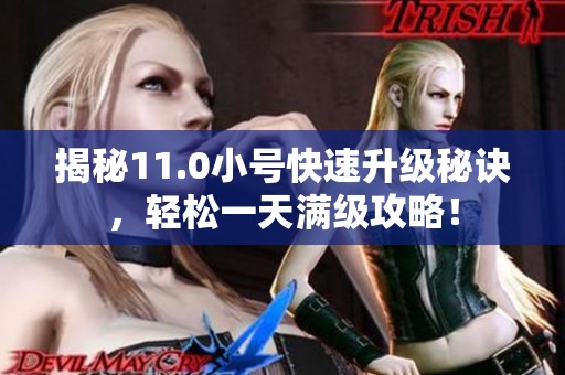 揭秘11.0小号快速升级秘诀，轻松一天满级攻略！