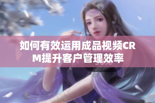 如何有效运用成品视频CRM提升客户管理效率