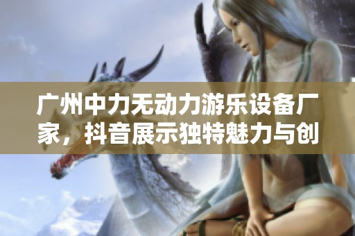 广州中力无动力游乐设备厂家，抖音展示独特魅力与创意设计