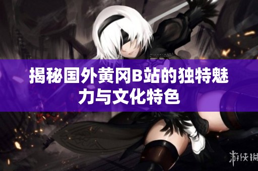 揭秘国外黄冈B站的独特魅力与文化特色